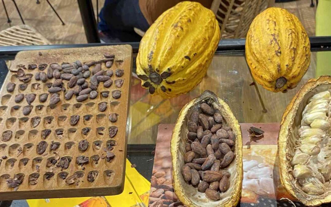 Exploración del Mundo del Cacao en el Salón del Chocolate de París.